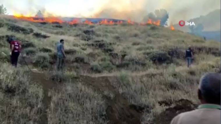 Adıyaman'daki yangınlarda 14 hektar alan zarar gördü 19